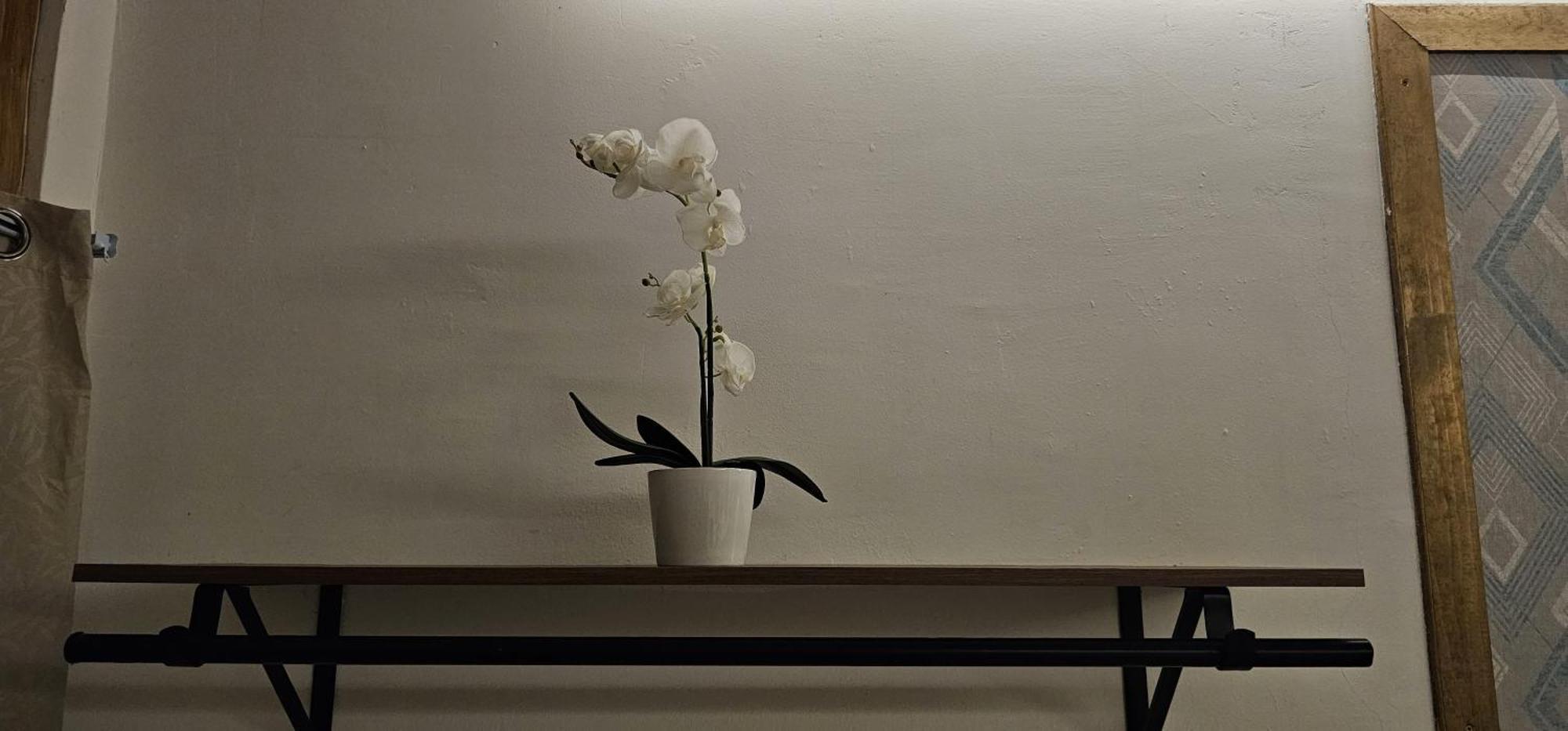 Hotel Sexta Avenida タパチュラ エクステリア 写真